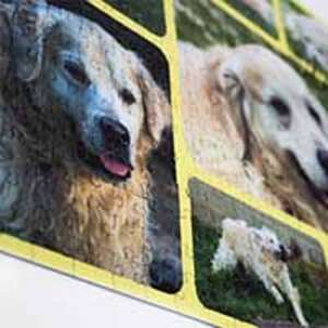 Puzzle de collage photo 500 - €  19.99