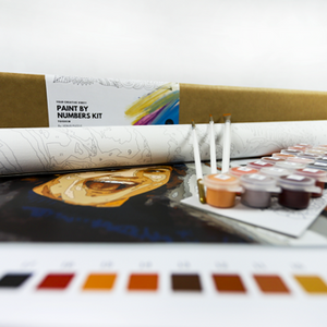 Peinture par numéros 50x50 - €  35.98